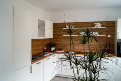 musterwohnung-kueche